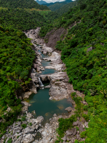 Một Ngày Tại 